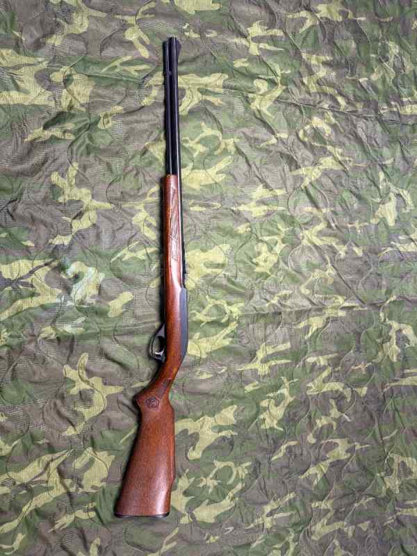Marlin 22lr 