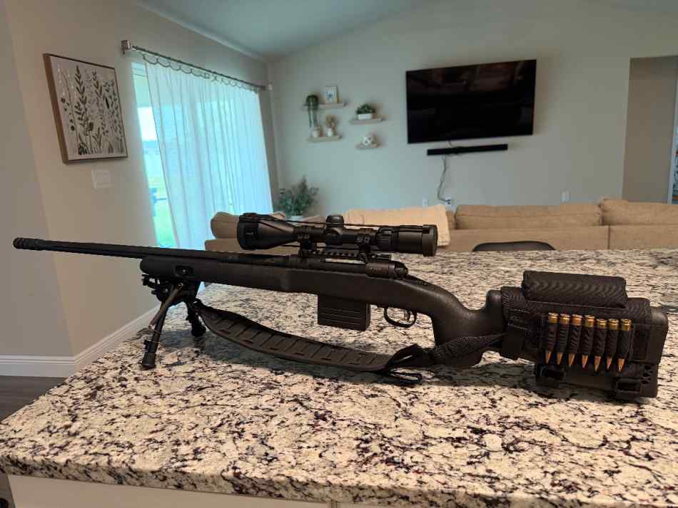 Savage Model 10 .308